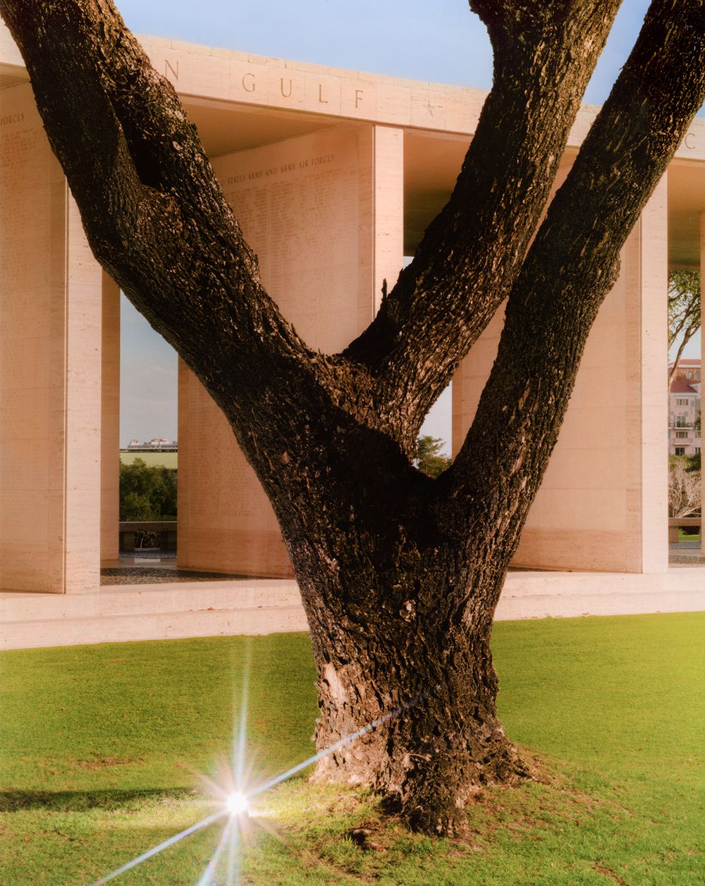 A decorative image from Usal Project