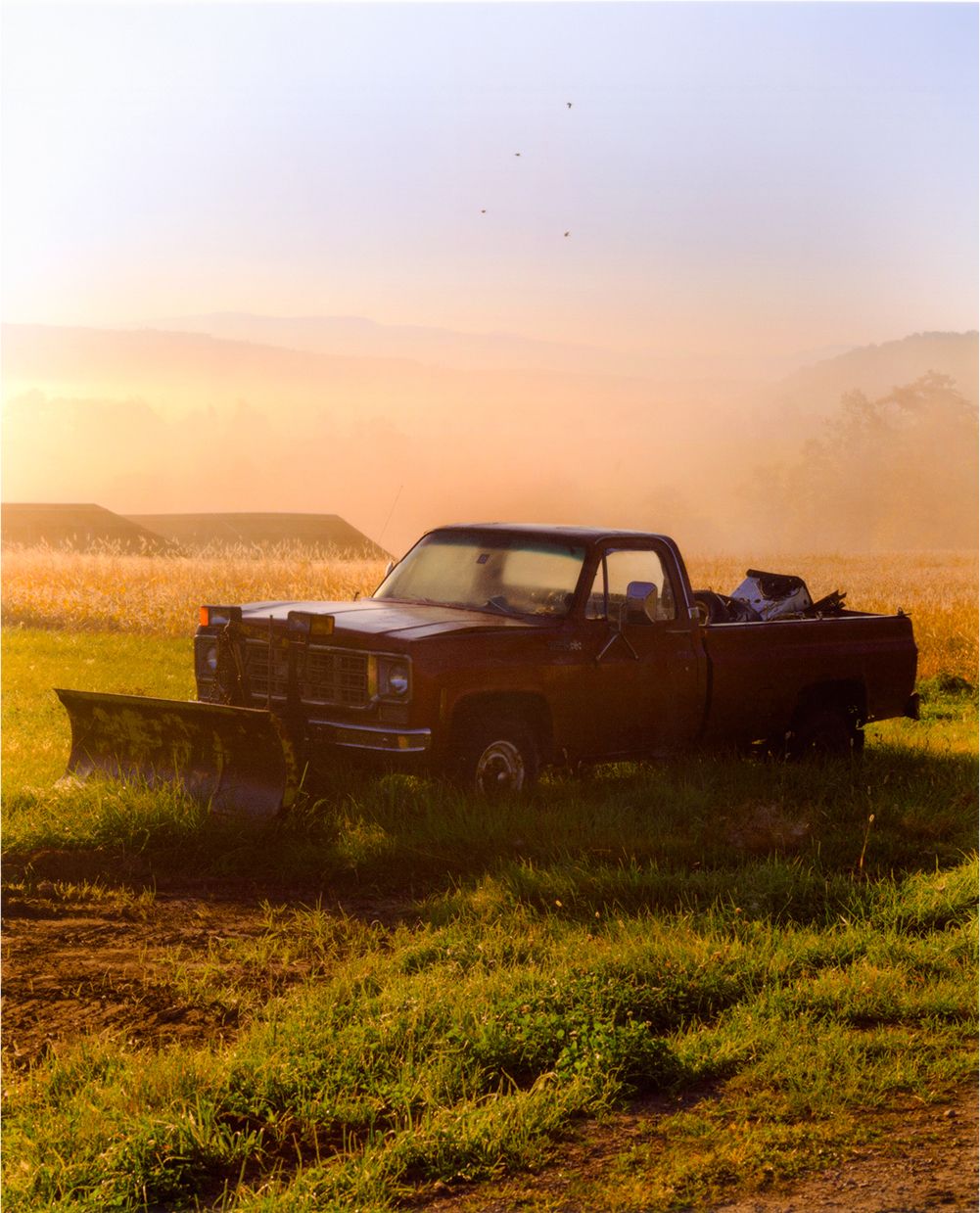 A decorative image from Usal Project