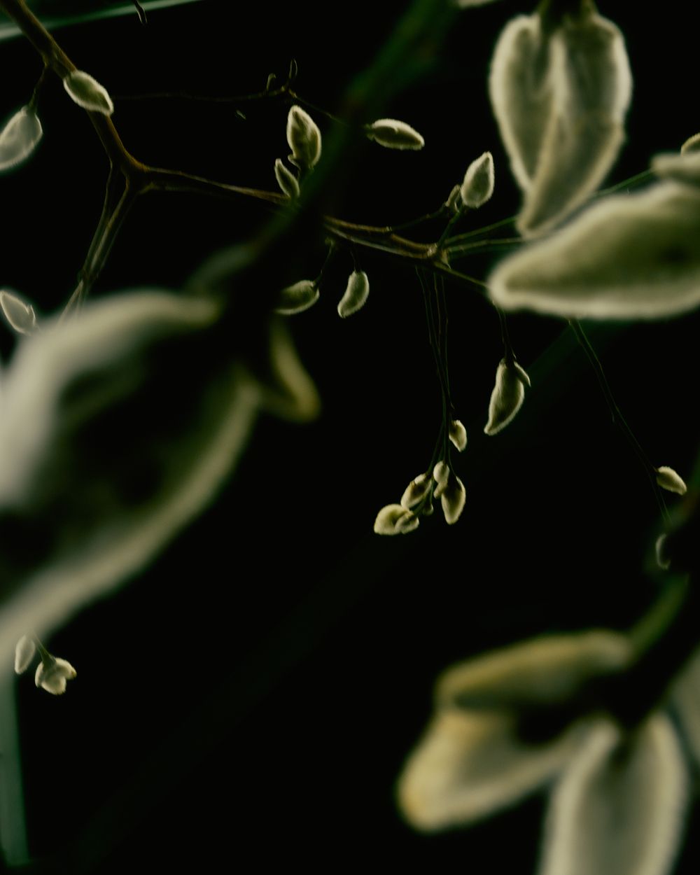 A decorative image from Usal Project