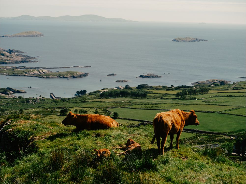 A decorative image from Usal Project