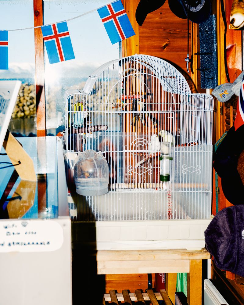 A decorative image from Usal Project