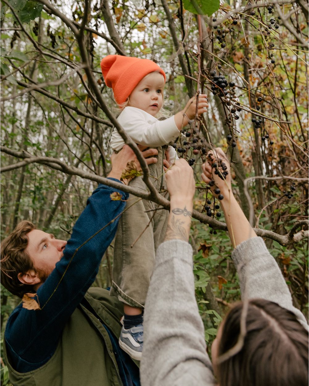 A decorative image from Usal Project