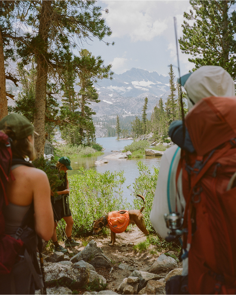 A decorative image from Usal Project