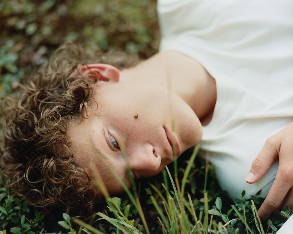 A decorative image from Usal Project