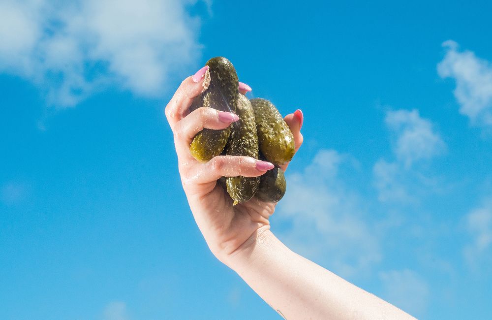 A decorative image from Usal Project