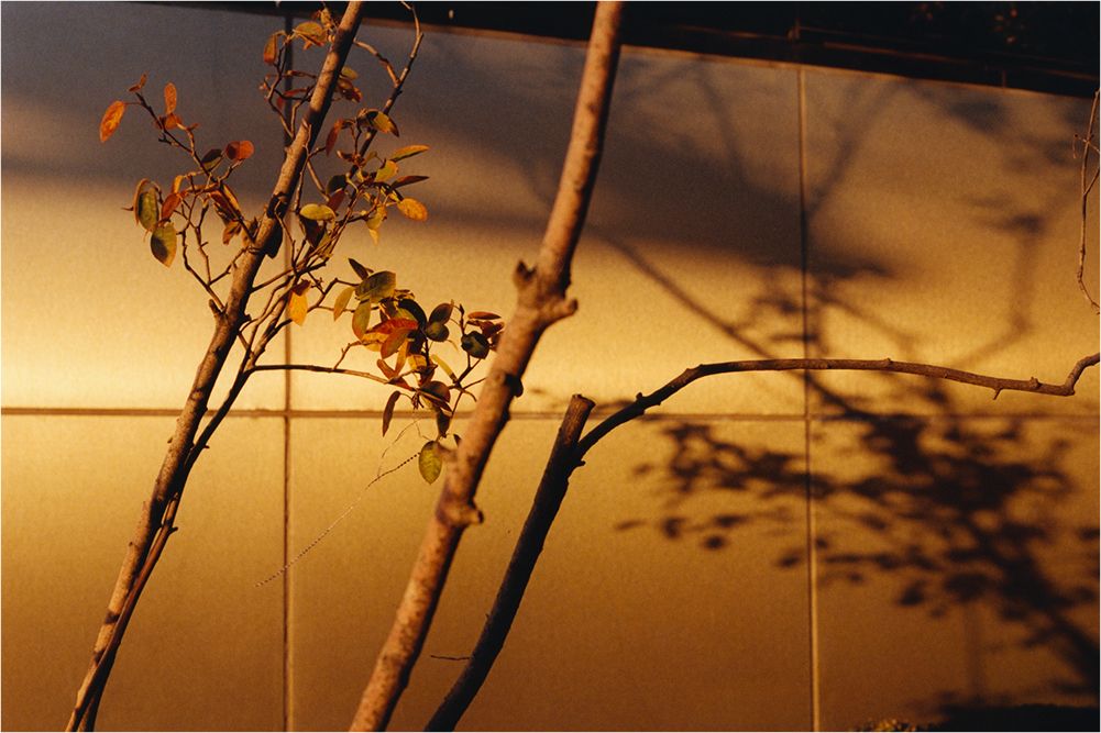 A decorative image from Usal Project