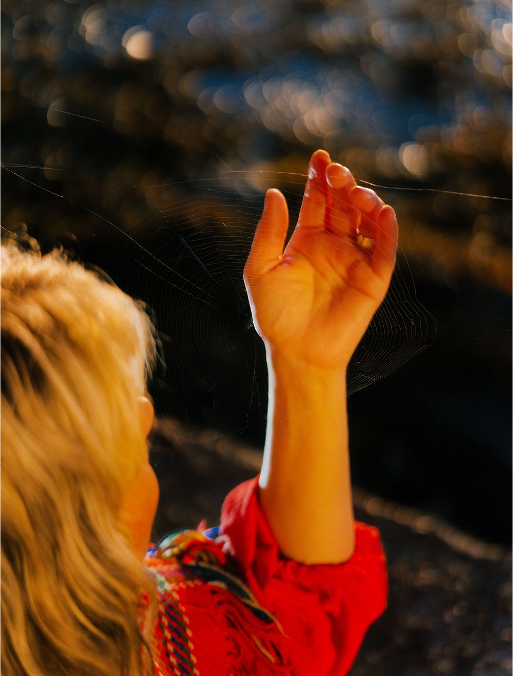 A decorative image from Usal Project