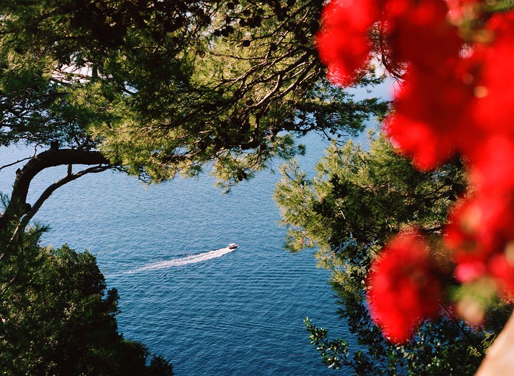 A decorative image from Usal Project