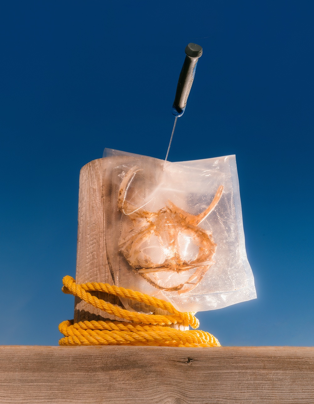 A decorative image from Usal Project