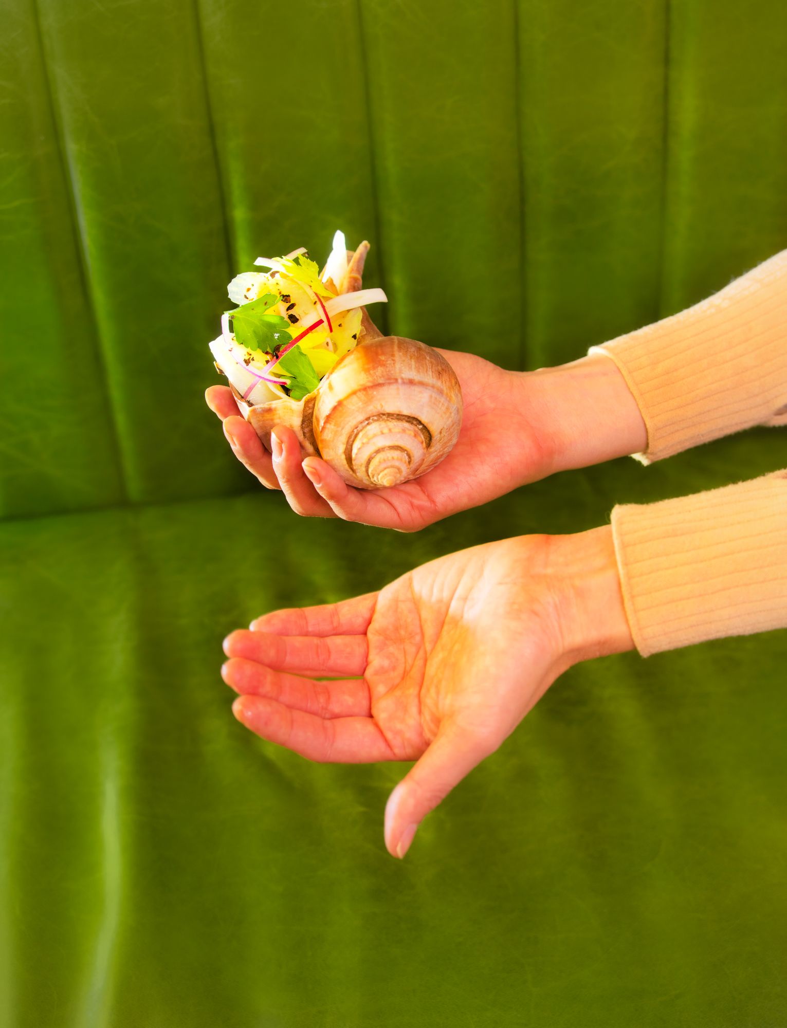 A decorative image from Usal Project