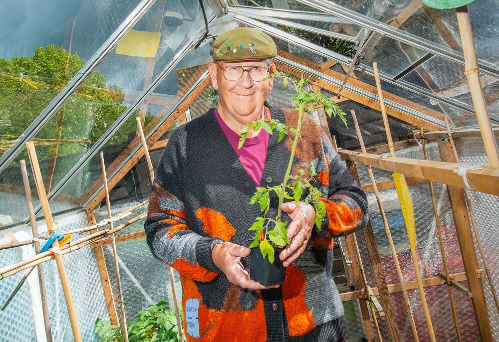 A decorative image from Usal Project