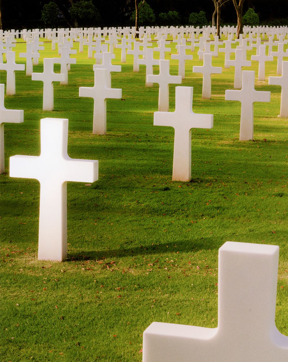 A decorative image from Usal Project