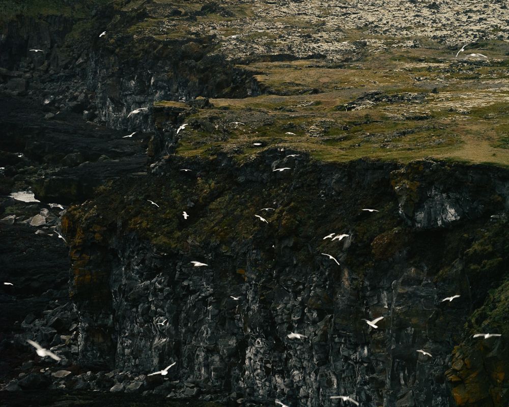 A decorative image from Usal Project