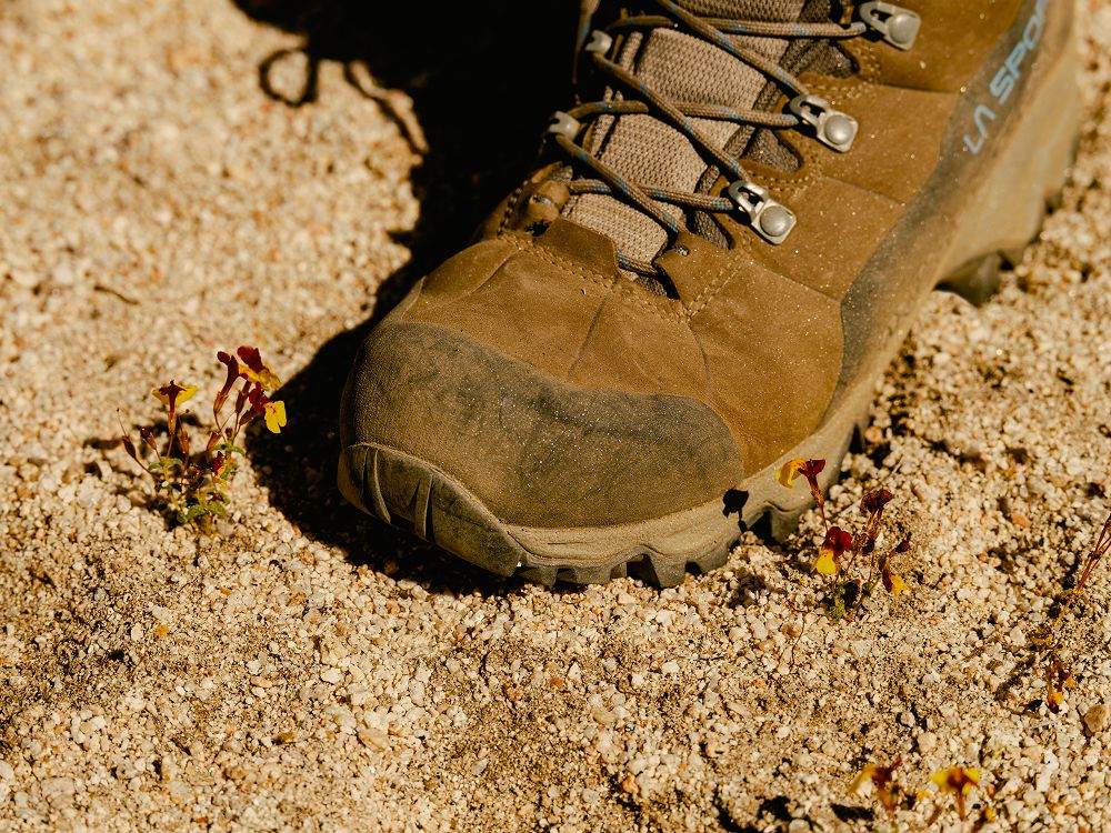 A decorative image from Usal Project