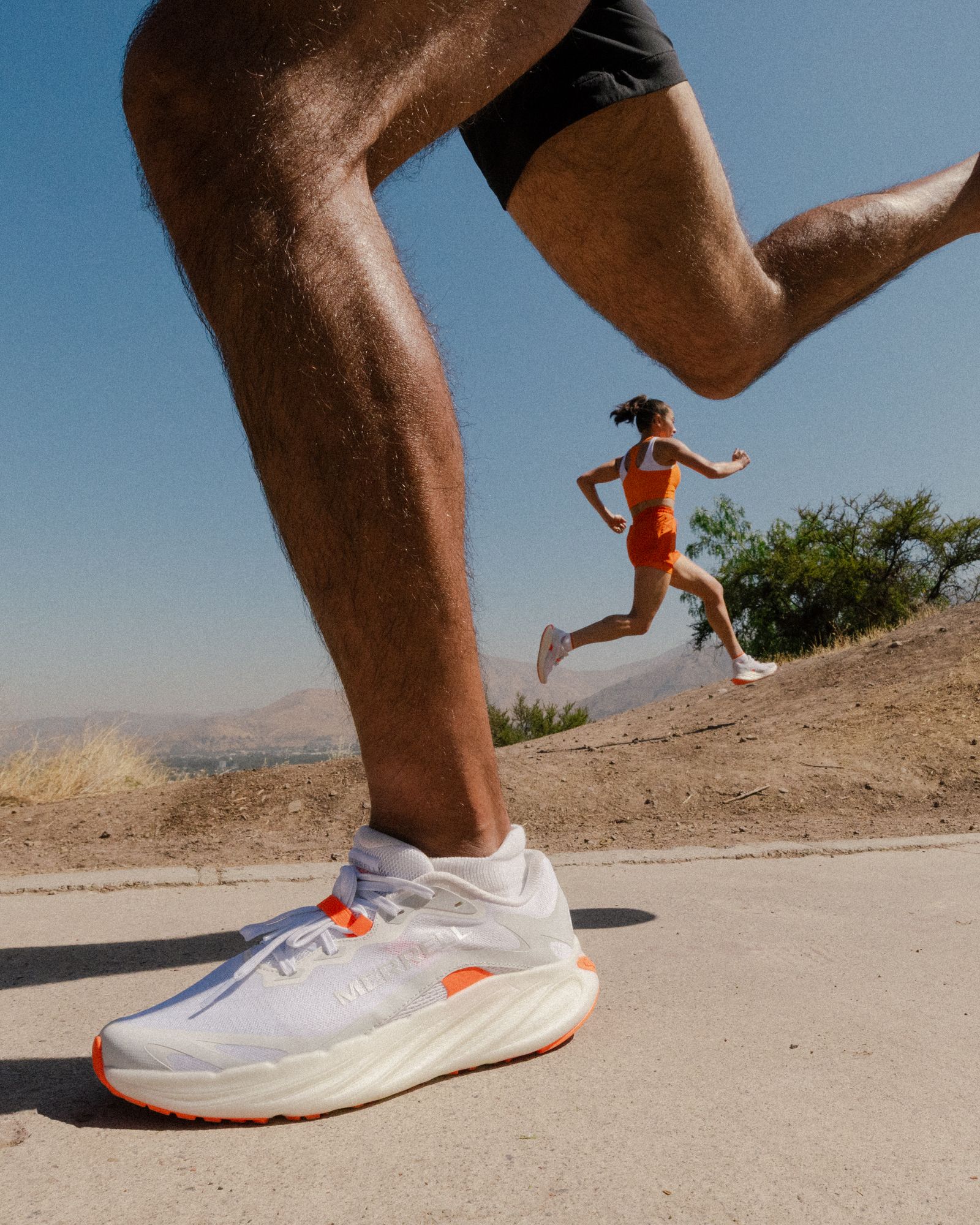 A decorative image from Usal Project