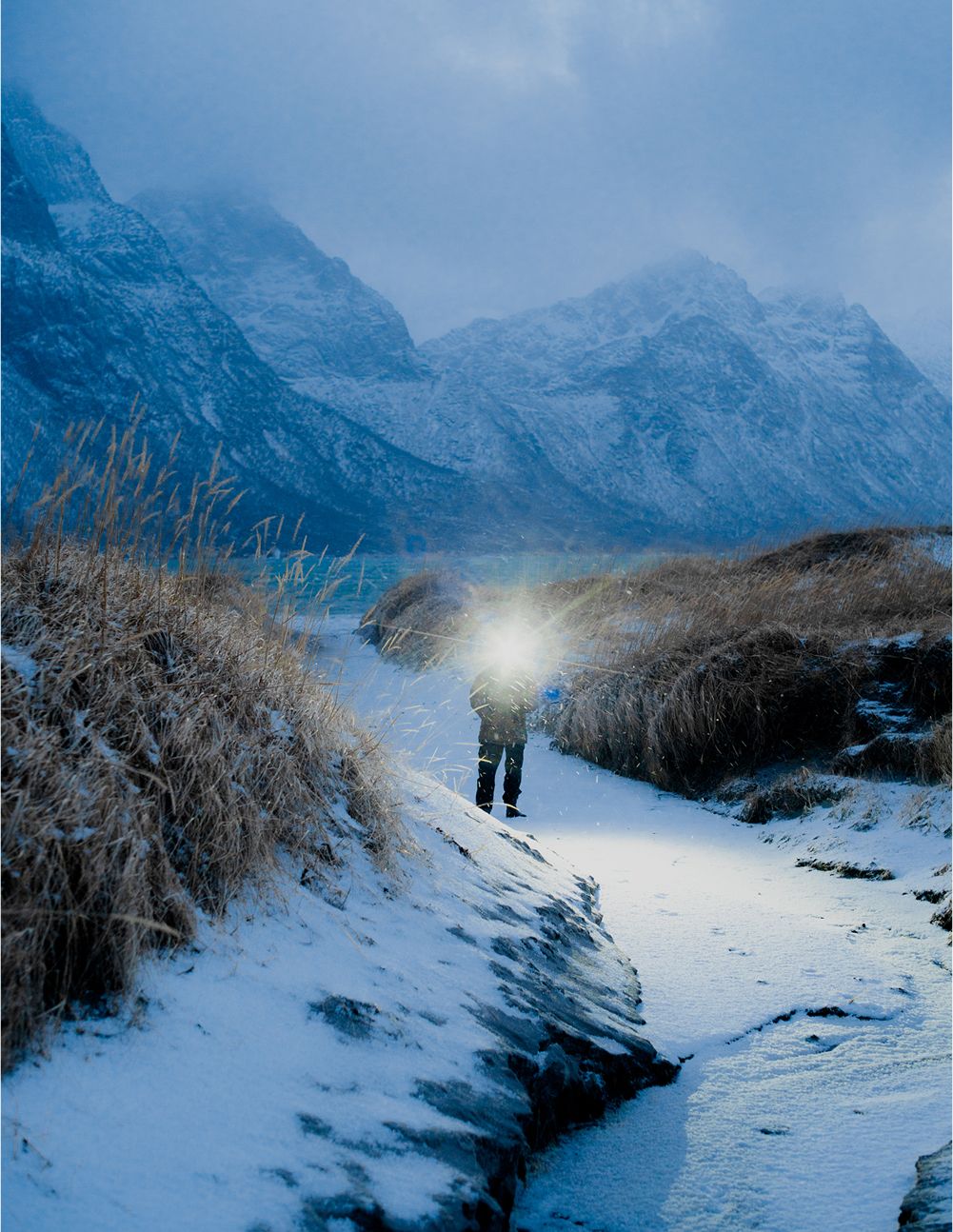 A decorative image from Usal Project