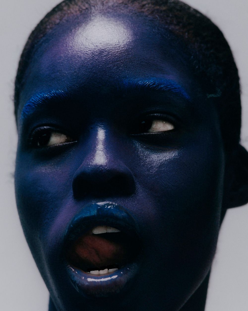 A decorative image from Usal Project