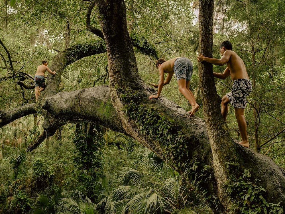 A decorative image from Usal Project