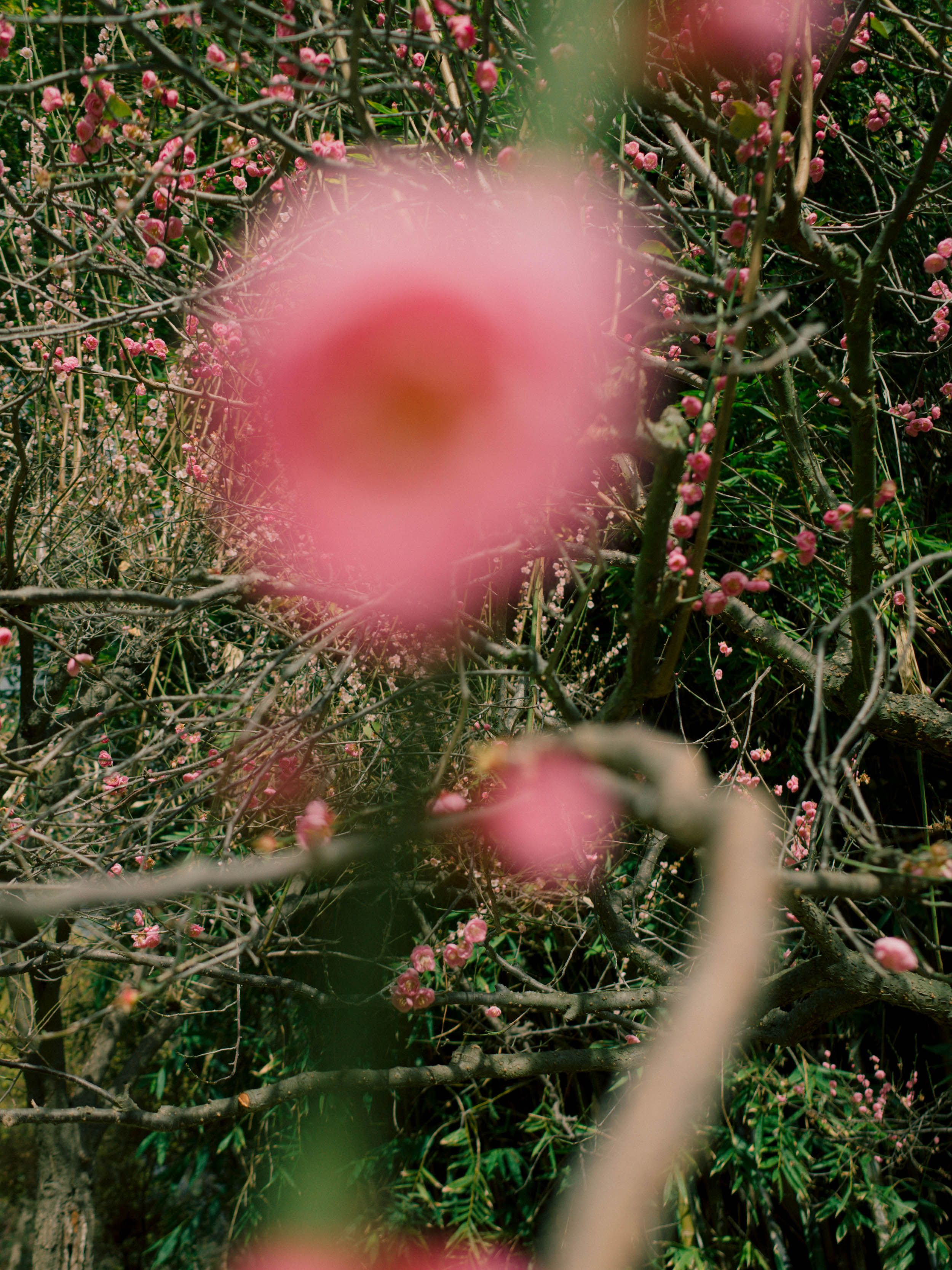 A decorative image from Usal Project