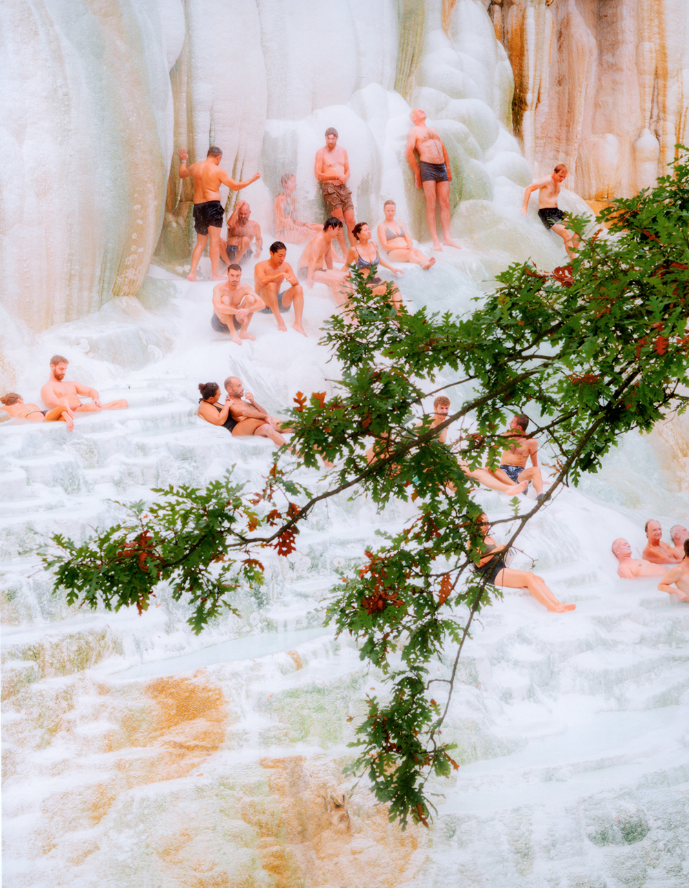 A decorative image from Usal Project