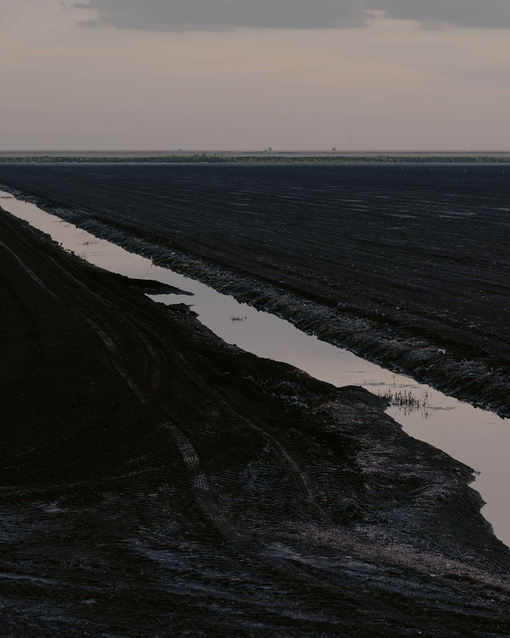 A decorative image from Usal Project