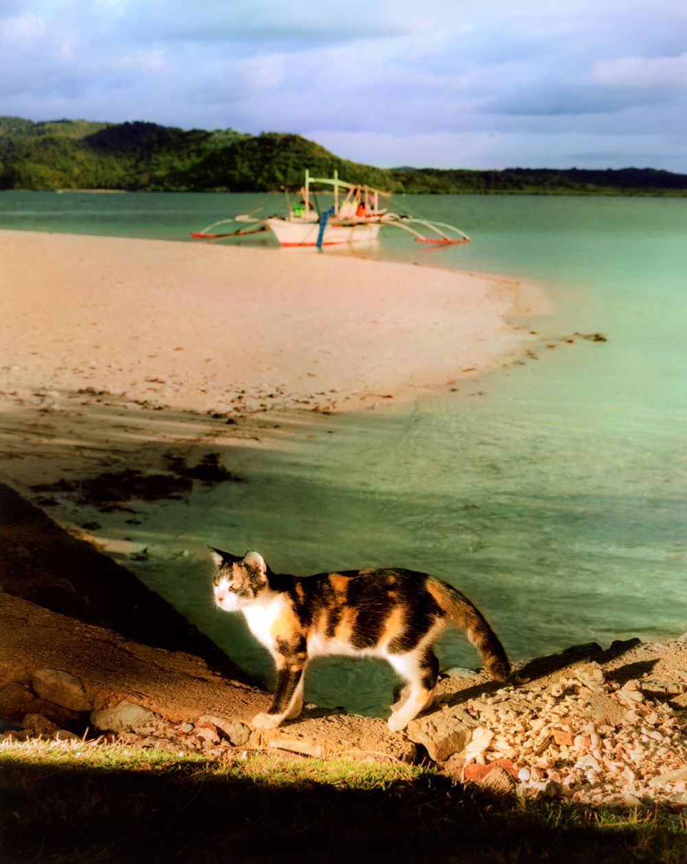 A decorative image from Usal Project