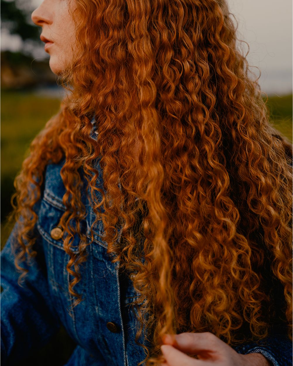 A decorative image from Usal Project