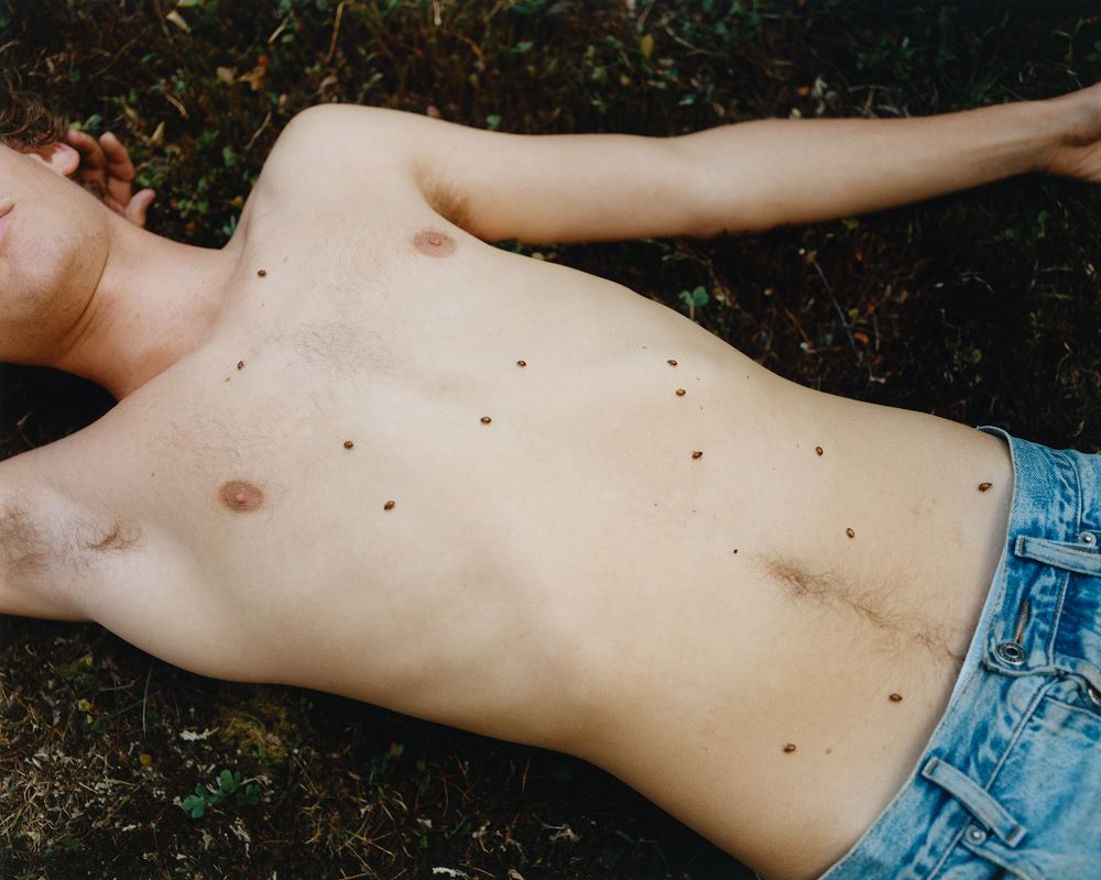 A decorative image from Usal Project