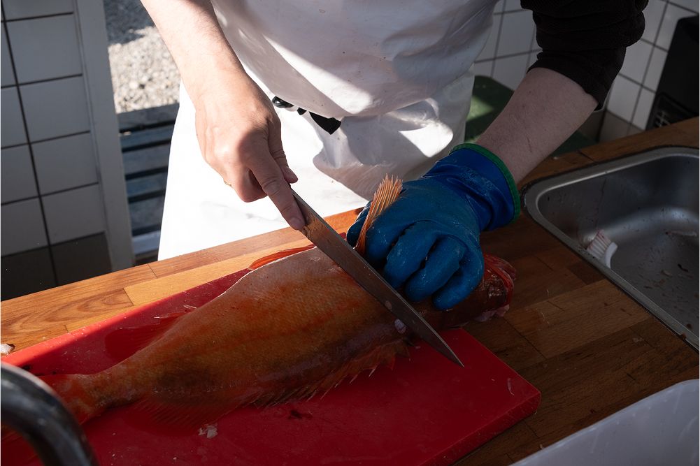 A decorative image from Usal Project