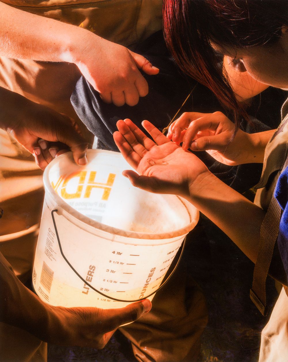 A decorative image from Usal Project