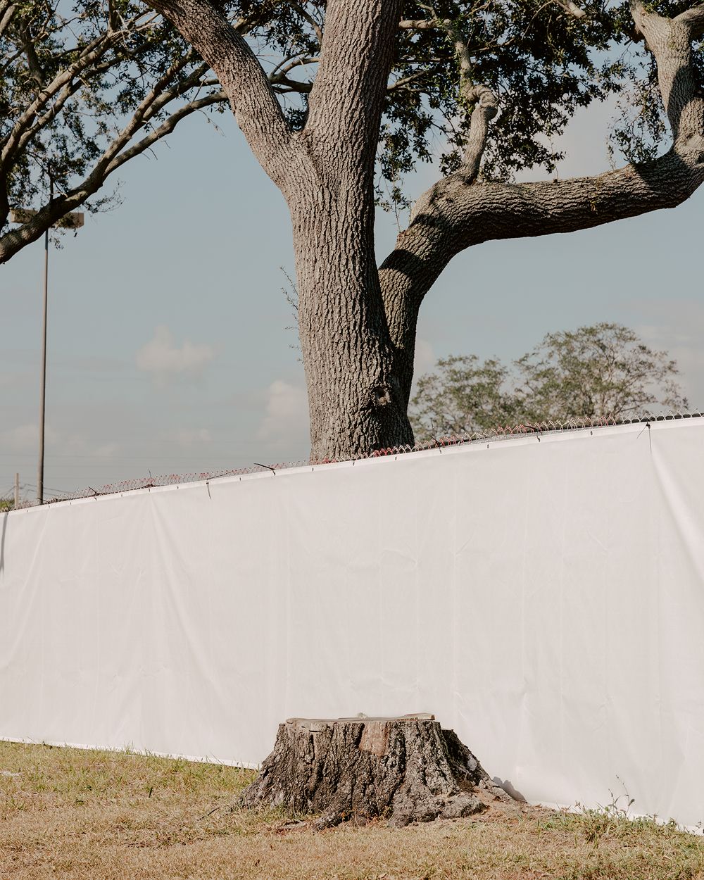 A decorative image from Usal Project