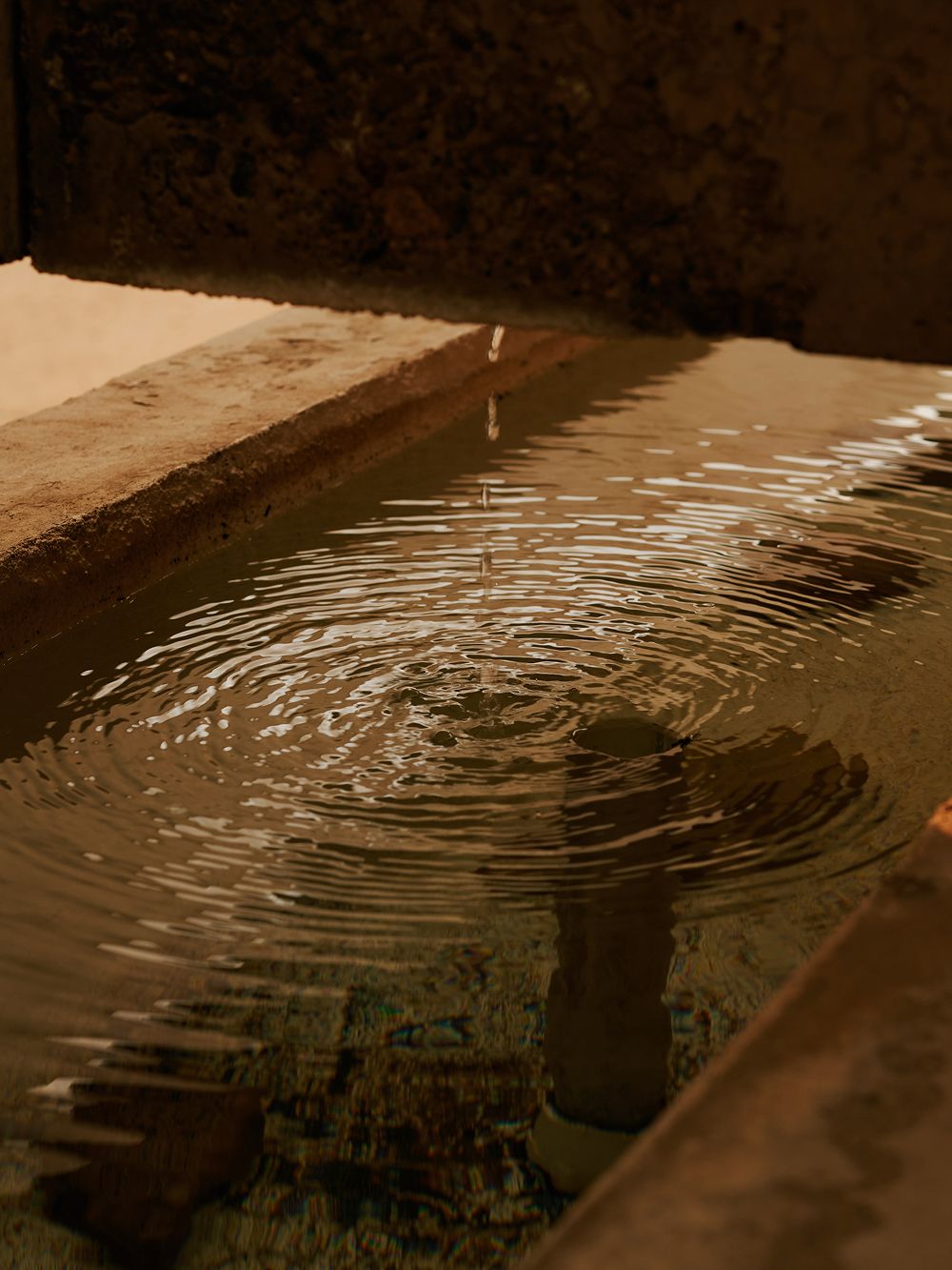 A decorative image from Usal Project