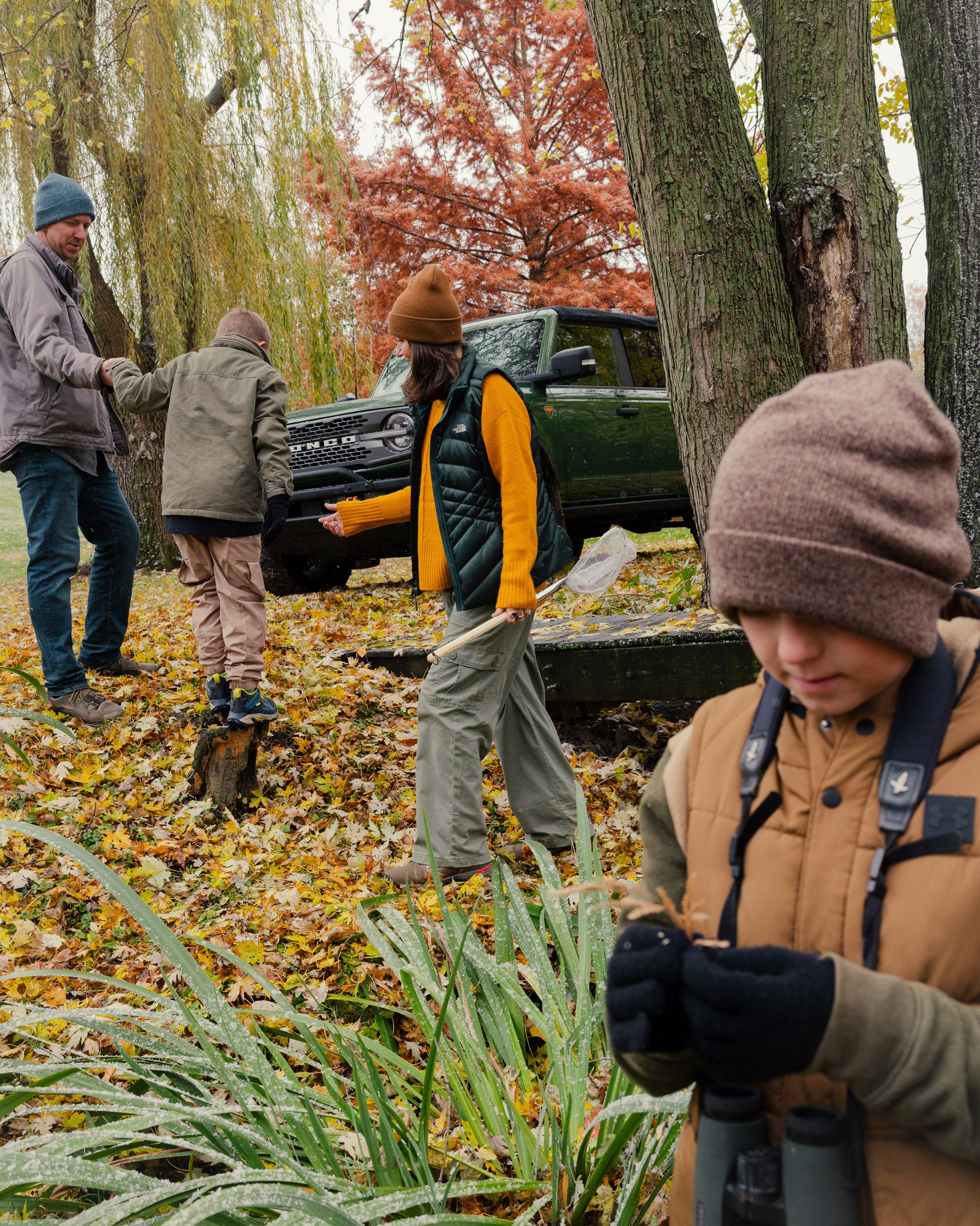 A decorative image from Usal Project