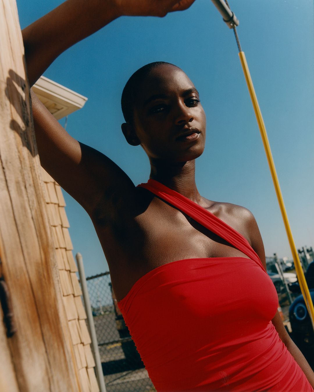 Joe Perri - A decorative image from Usal Project