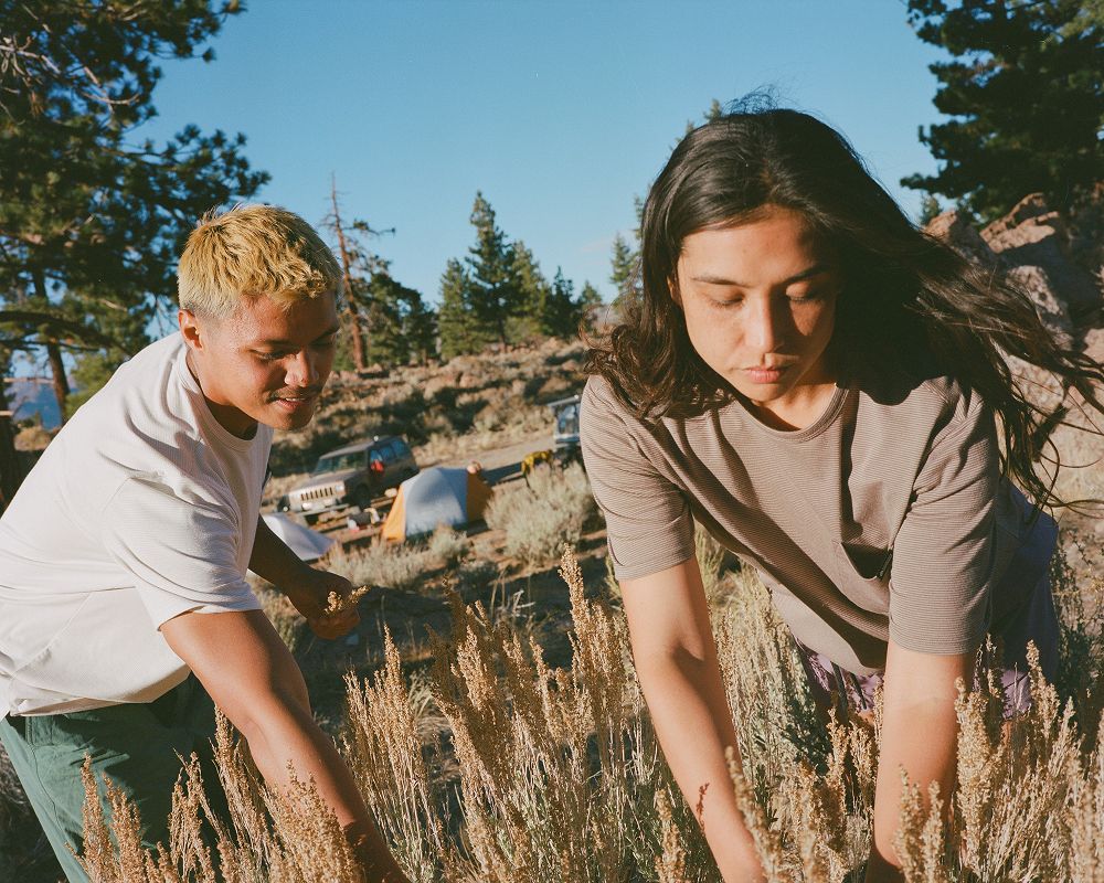 A decorative image from Usal Project