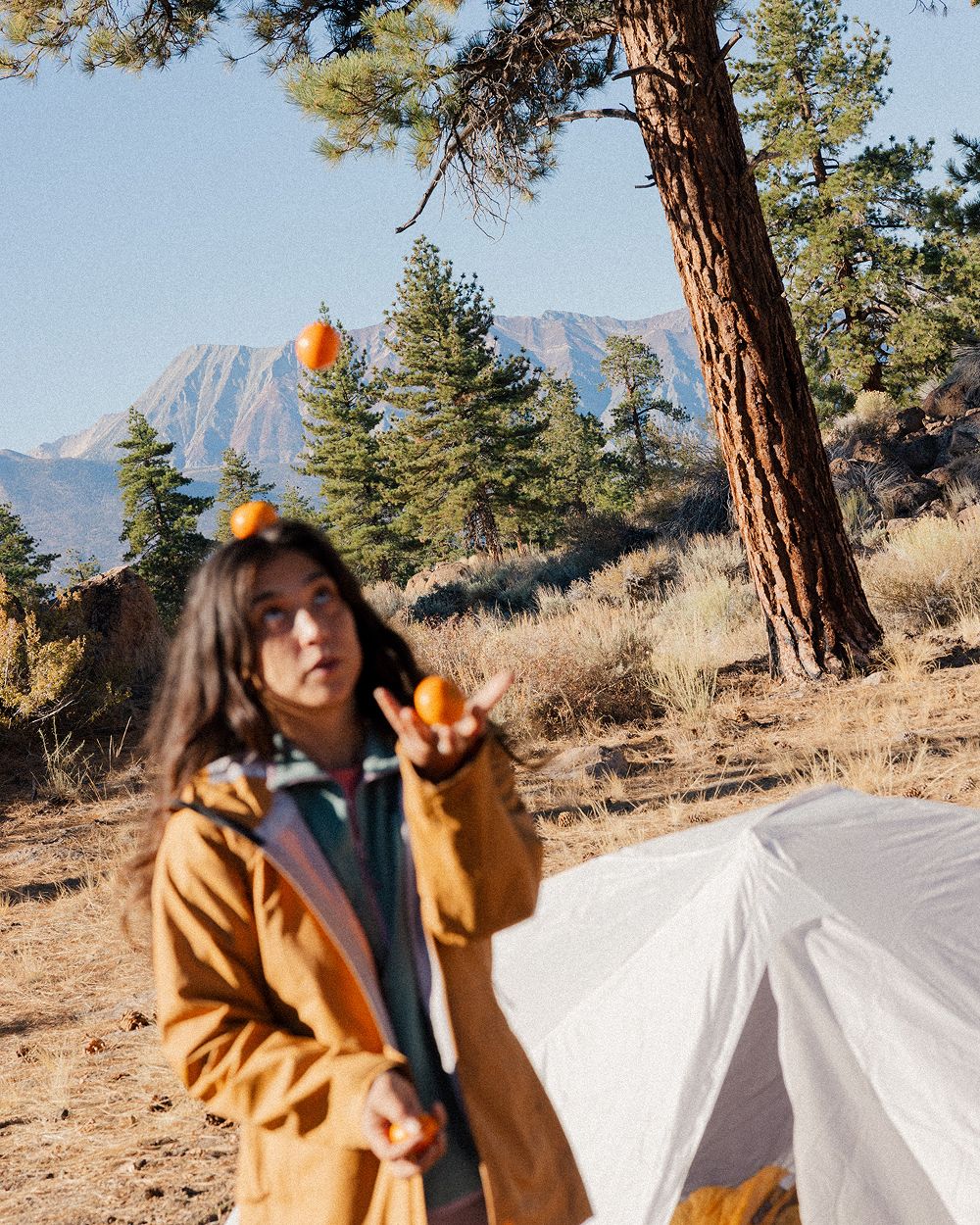 A decorative image from Usal Project