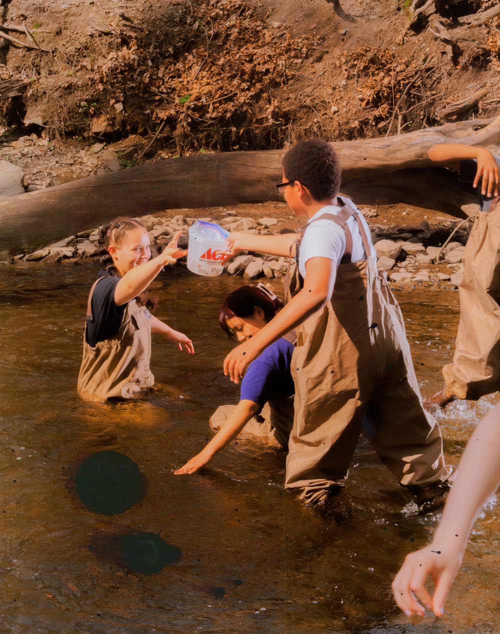 A decorative image from Usal Project