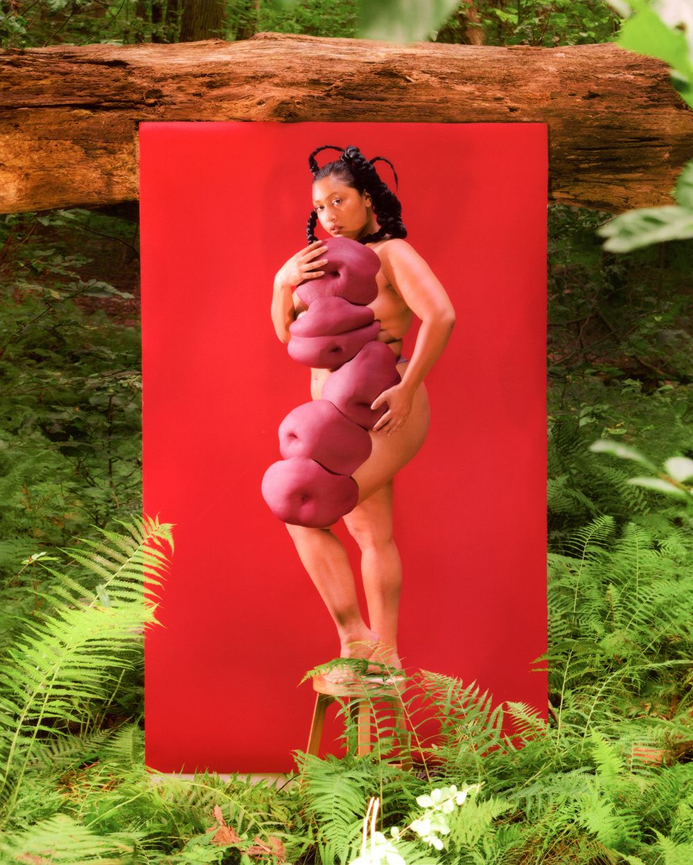 Misha Japanwala - A decorative image from Usal Project