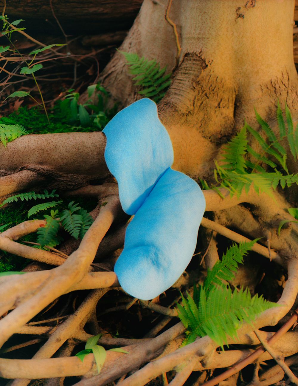 A decorative image from Usal Project