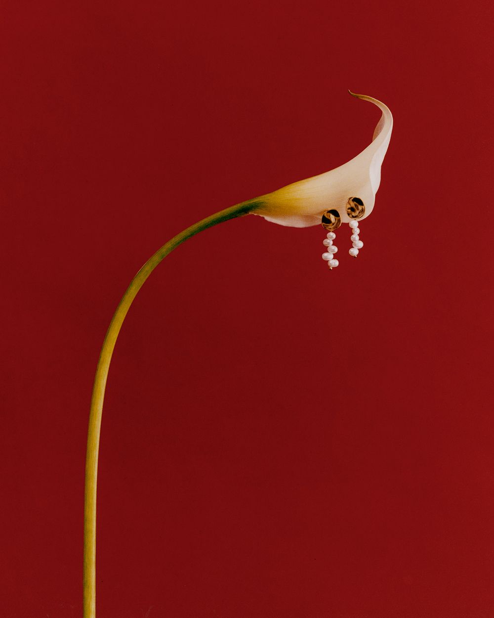 A decorative image from Usal Project