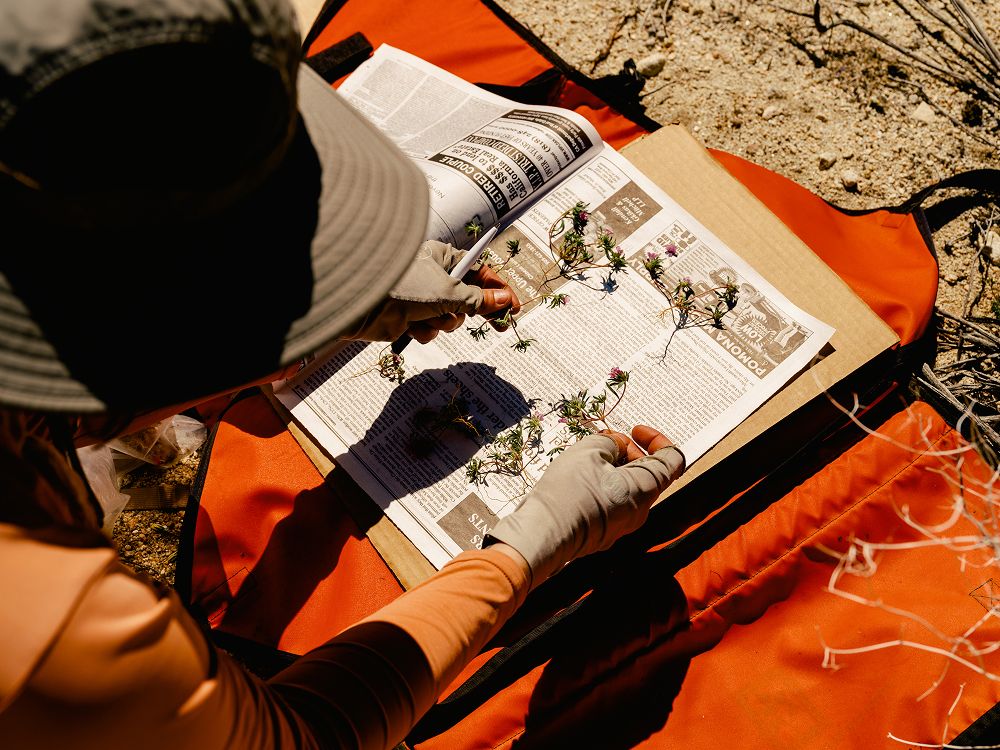 A decorative image from Usal Project