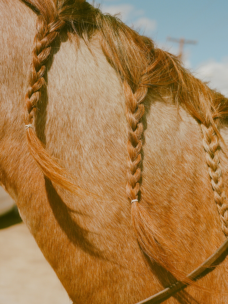 A decorative image from Usal Project