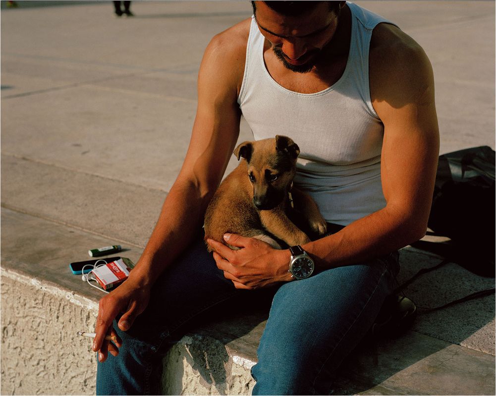 A decorative image from Usal Project