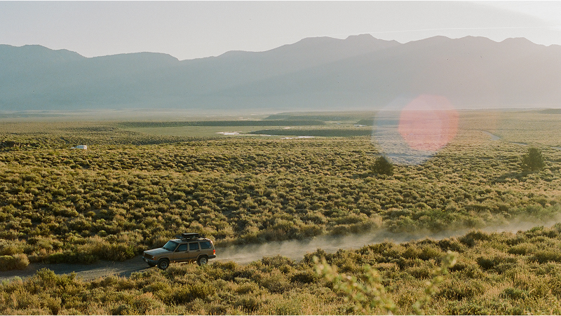 A decorative image from Usal Project