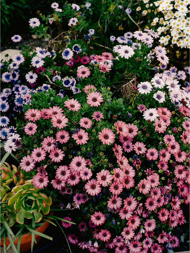 A decorative image from Usal Project