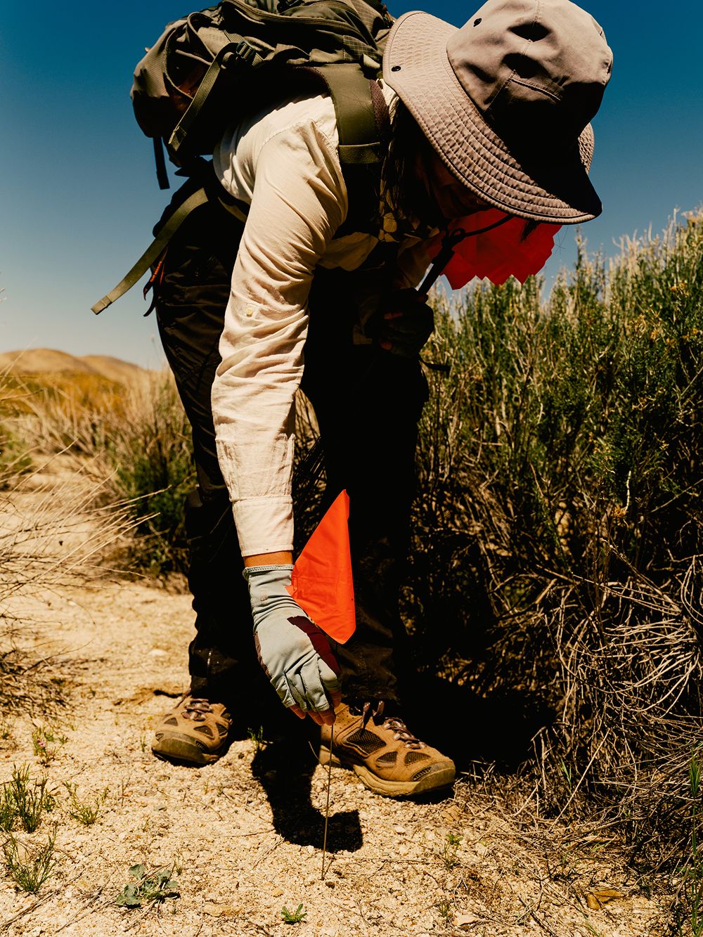 A decorative image from Usal Project