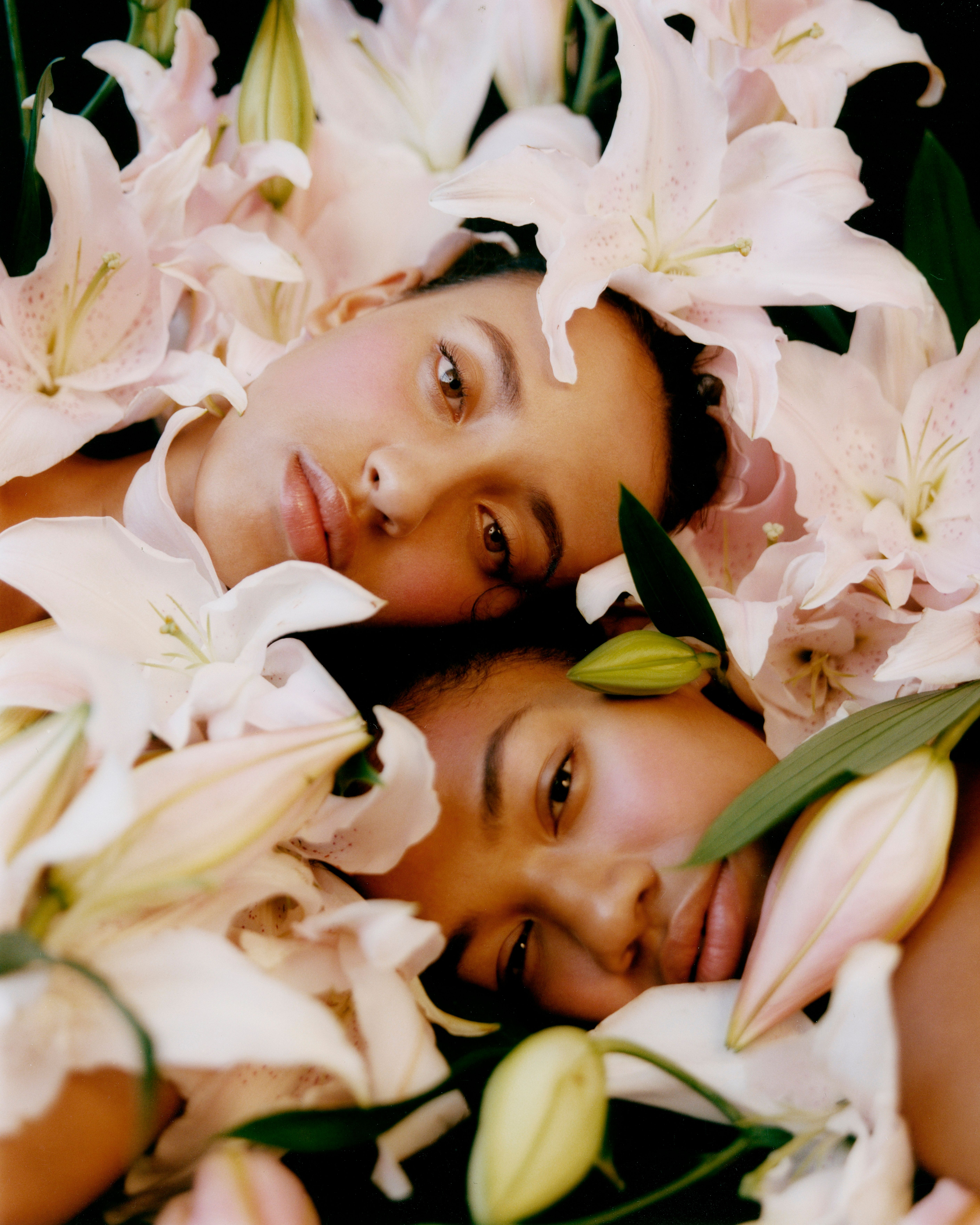 A decorative image from Usal Project