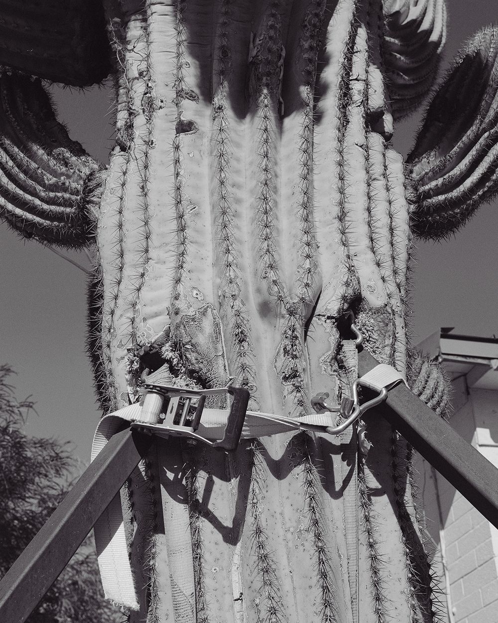 A decorative image from Usal Project