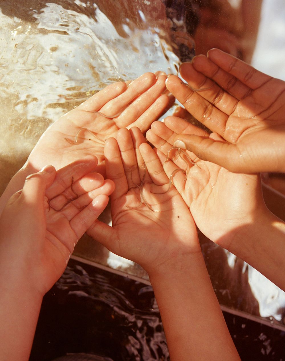 A decorative image from Usal Project