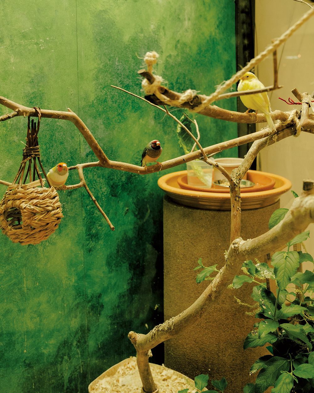 A decorative image from Usal Project